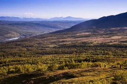 Buustamons Fjällgård barmark