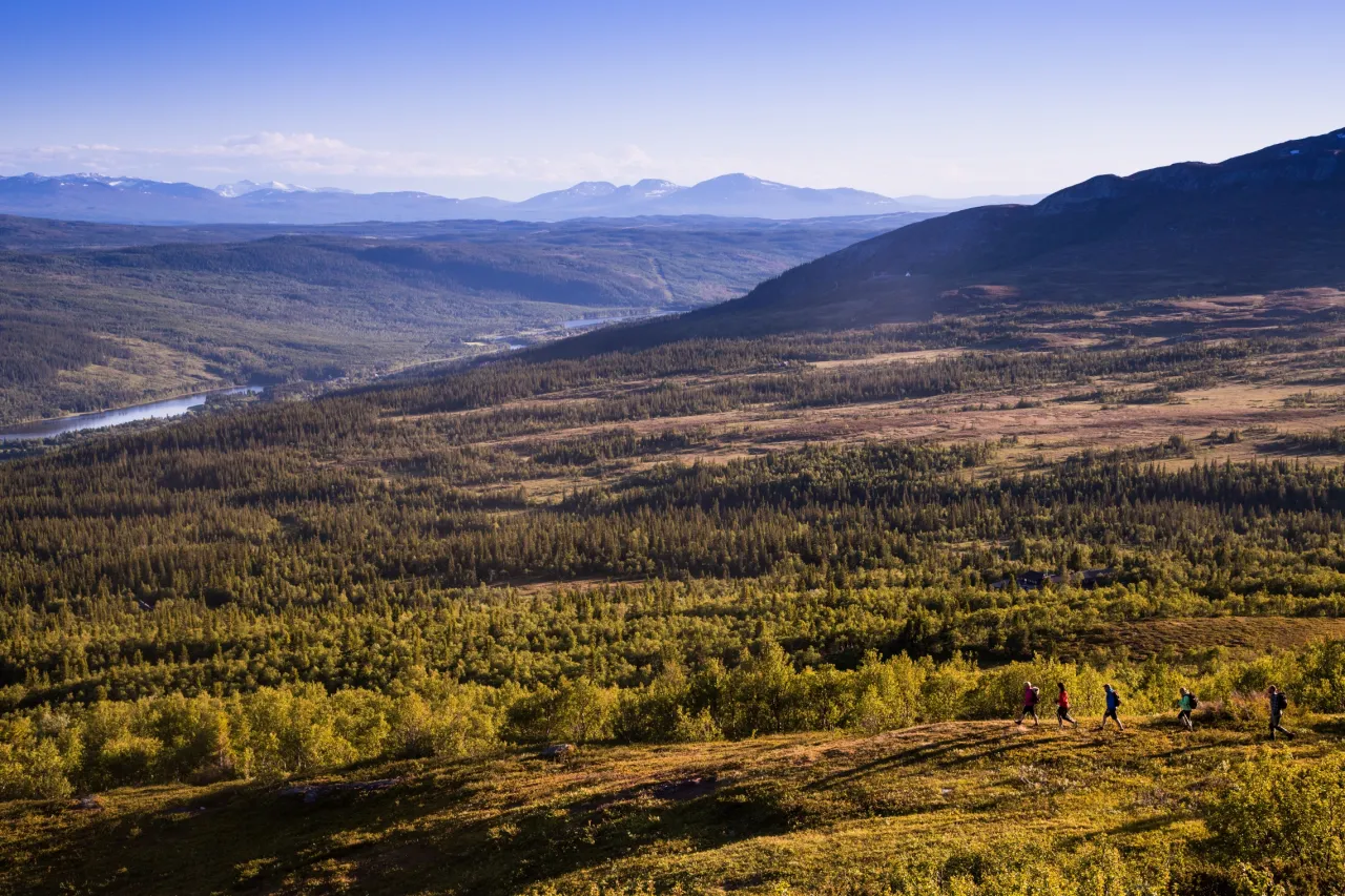 Buustamon sommar hike in out