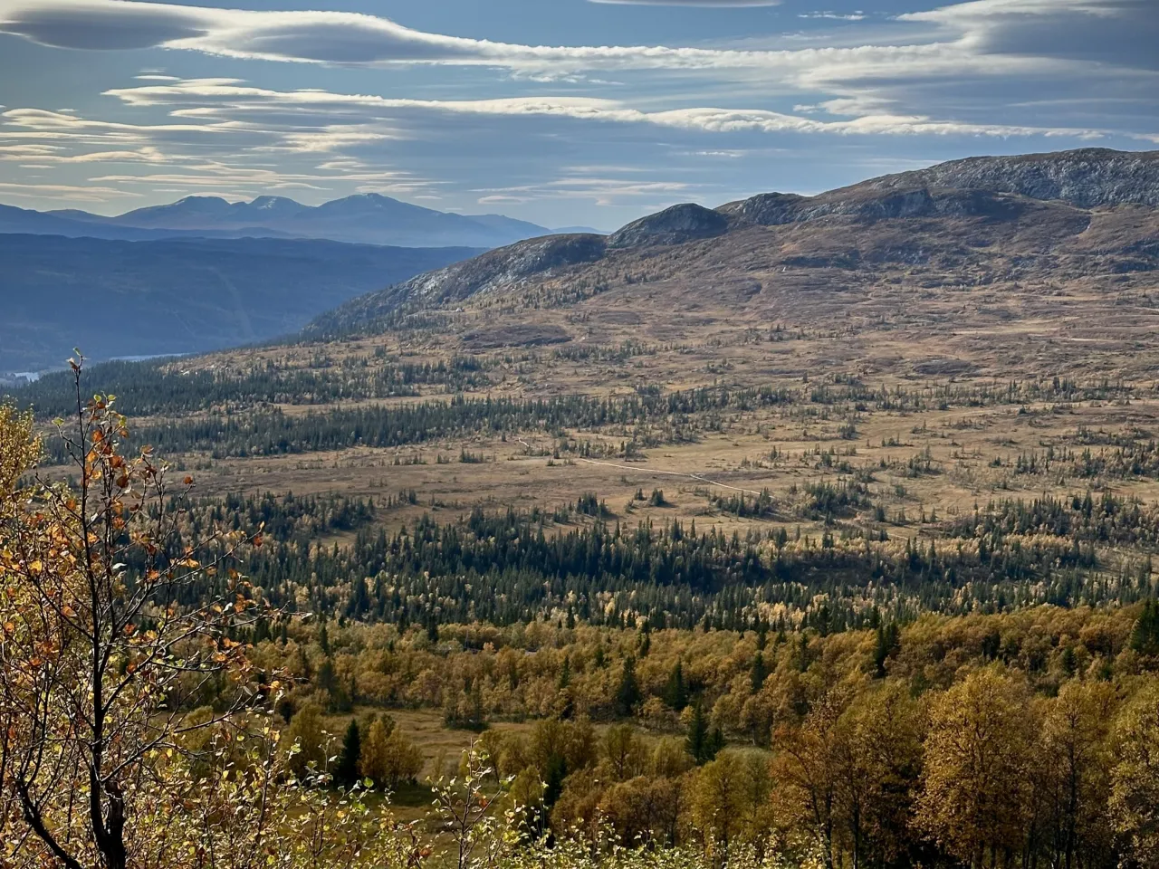 Buustamons Fjällgård höst