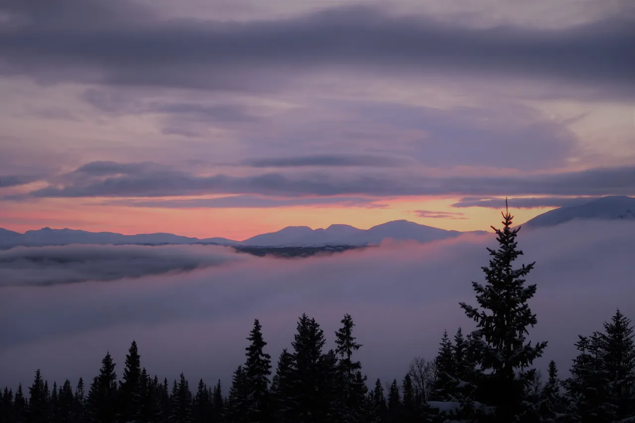 Solnedgång Buustamon
