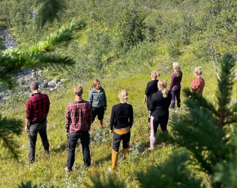 ett gäng som yogar i naturen
