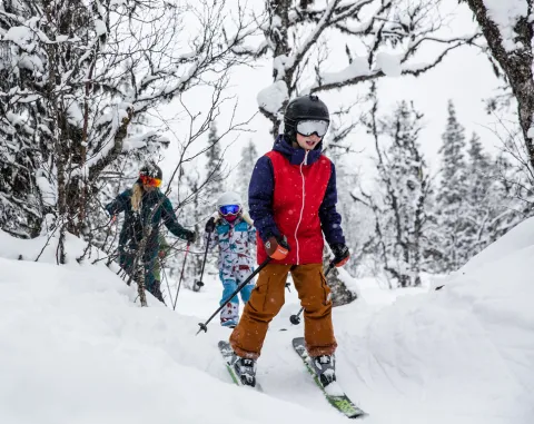 skogsskidåkning